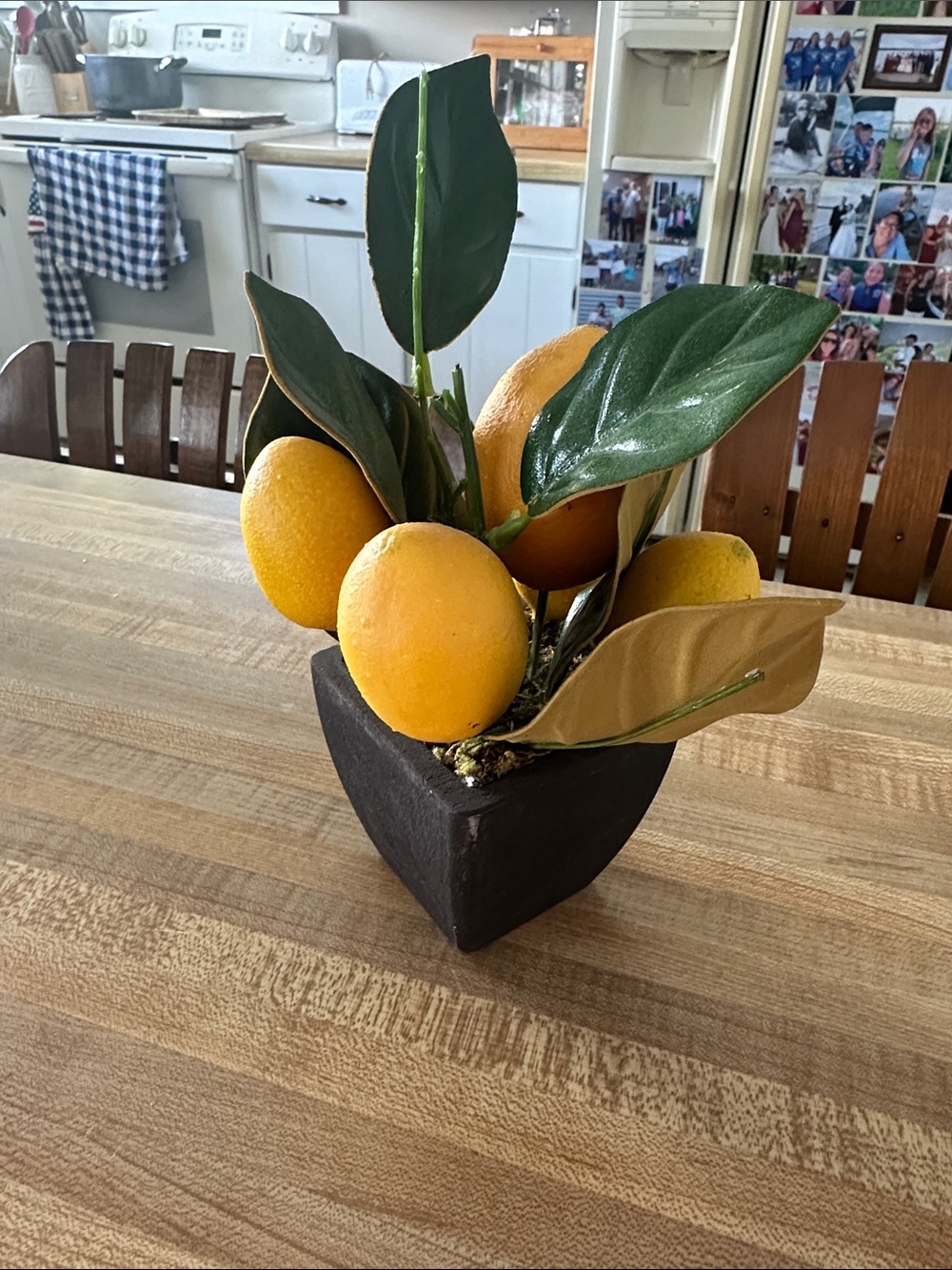 Artificial Citrus Tabletop Plant in Black Pot - Orange